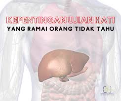 We did not find results for: Chenang Clinic Kepentingan Ujian Hati Yang Ramai Orang Tak Tahu Pada Tubuh Manusia Hati Adalah Organ Tubuh Yang Sangat Penting Untuk Kelangsungan Hidup Ia Memainkan Peranan Penting Dalam Melaksanakan Perkara Berikut