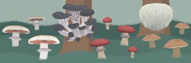 Check spelling or type a new query. Growing Mushrooms At Home Fix Com