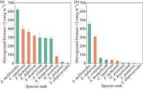 Image result for Polygala melilotoides