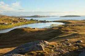 A superb compact, ornamental, clumping grass highly useful for smaller areas, borders and containers. Home Fotoreisen In Schottland