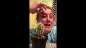If they are not too heavy for a single. Christines Snaps Cactus Tiktok Youtube