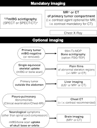 Flowchart Of Neuroblastoma Imaging Workup At Diagnosis I V