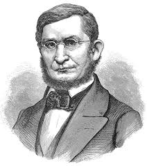 Dinosaur Tracks Discovery