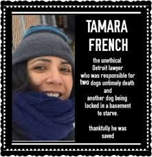 Operation Help -Detroit Dogs and Cats