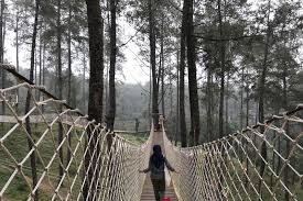 Check spelling or type a new query. Objek Wisata Digital Yang Diburu Para Milenial Antara News