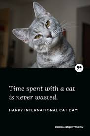 It started as a day to raise awareness for cats and learn about different ways to help and protect them. Time Spent With A Cat Is Never Wasted Happy International Cat Day