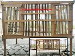 Buatlah kandang ayam yang sesuai dengan ukuran ayam. Kandang Ayam Bangkok Shefalitayal