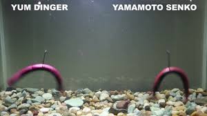 Yum Dinger Vs Yamamoto Senko