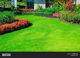 Our focus is to provide superior quality and customer satisfaction. Green Lawn Front Lawn Image Photo Free Trial Bigstock