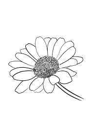 Comment Dessiner Une Fleur En 2020 Fleur Dessin Facile Dessin Fleur Dessin De Fleur