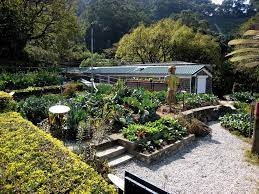 You will not need to use slug and snail poisons. Organic Gargening Learn About What Makes An Organic Garden