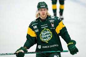 Brynäs if har totalt 13 guld varav det senaste togs säsongen 2011/2012 i en finalserie mot skellefteå aik då föreningen firade 100 år. Bjorkloven Vann Stokig Match Aldrig Varit Sa Mycket Brak Aftonbladet