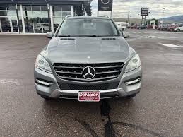 Image result for Selenite Gray 2015 ML