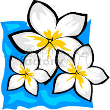 Free Free Tropical Flower Svg Free 432 SVG PNG EPS DXF File