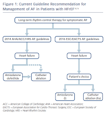 Image result for Ventricular Fibrillation Management in the Adult
