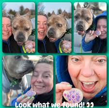 Friend leaves hidden rocks as gift