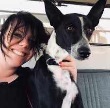 Our beautiful Baladi (Canaan) dogs <3