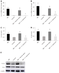 Clostridium Butyricum Alleviates Intestinal Low Grade