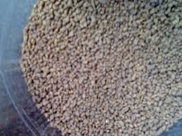 We did not find results for: Meningkatkan Nilai Gizi Voer Untuk Burung Pemakan Serangga Om Kicau