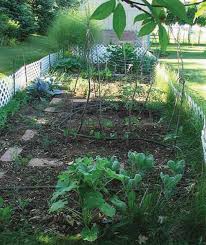 However, some vegetables are incompatible raised beds for spring vegetable garden. Home Gardening Uga Cooperative Extension