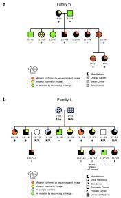 We did not find results for: Ijms Free Full Text Inherited Genetic Mutations And Polymorphisms In Malignant Mesothelioma A Comprehensive Review