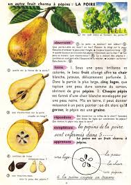 Godier Moreau Premier Livre De Lecons De Choses Ce 1957 Lecon De Choses L Education Francaise Poire