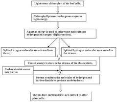 With The Help Of Chemical Equation Explain The Process Of