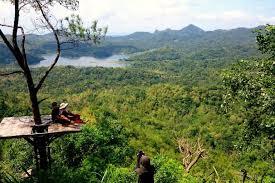 Taman buru adalah kawasan hutan yang ditetapkan sebagai tempat wisata berburu. Kalibiru Dan Kisah Sukses Masyarakat Jalankan Ekowisata Milyaran Rupiah Mongabay Co Id