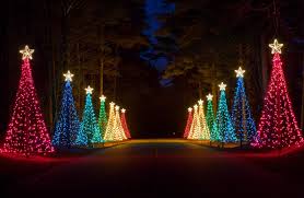 Fantasy In Lights At Callaway Gardens Georgia Georgia Christmas Christmas Lights Outdoor Christmas Lights