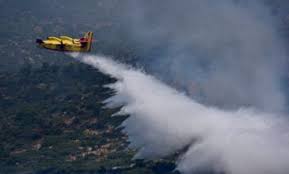 Καθίσαμε κάτω από τα δέντρα. Pyrkagia Se E3eli3h Sth Drosia Axaias News Gr