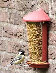 Futtersilo Fur Mehlwurmer Vogelfutter Vogelzubehor Vogelhaus Bauen