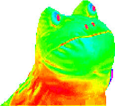 Choose from 1000+ gif graphic resources and download in the form of png, eps, ai or psd. Download Memes Mlg Frog Gif Transparent Full Size Png Image Pngkit