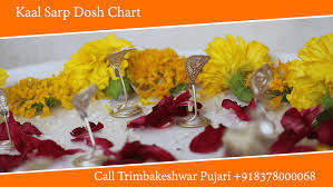 Kala Sarpa Dosha Chart Trimbakeshwar Pujari Call Guruji