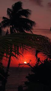 Check spelling or type a new query. Sunset Wallpapers On Wallpaperdog