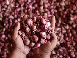 Harga bawang merah terus merangkak naik. Berita Harga Bawang Merah Hari Ini Kabar Terbaru Terkini Liputan6 Com Page 2