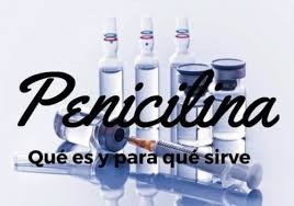 Tratamentul cu penicilină este destul de sigur. Origen De La Penicilina Inventor Y Evolucion Curiosfera Historia