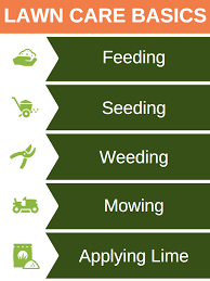 When is the best time to water lawns? How When To Apply Lime To Lawn Does My Lawn Need Lime