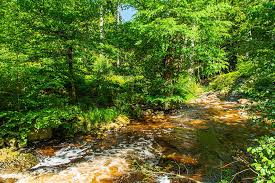 Nl natuurcentrum huis ternell nl naturzentrums haus ternell en naturzentrums haus ternell fr naturzentrums haus ternell manage this page. Zwischen Haus Ternell Und Kutenhartvenn Fotografische Reisen Und Wanderungen In Deutschland Wanderbloggerin