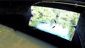 The warmer it gets, the more. When Is The Best Time To Fish For Trout