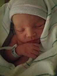 Lifecycles for the week of May 3, 2019