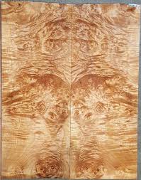 Birdseye Maple Burl Wood 5801 Exhibition Grade 5a Guitar Top 24 X 18 5 X 75 8d575a042879104c16a52003c68d7d62 Jpg 1258 1600 Tree Slab Burled Wood Maple Burl