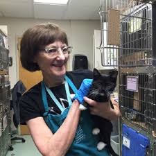 We've listed some of the ways you can volunteer below. Volunteers Give Back On Thanksgiving Oregon Humane Society