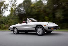 Image result for Avorio 1981 Alfa-Romeo