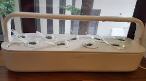 Indoor gardens are a great way to grow fresh plants and herbs from the comfort of your home, boosting their nutrition and giving you something fun to keep busy with. Click And Grow Smart Garden 9 Review Youtube