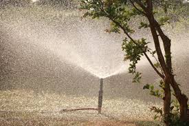 Maybe you would like to learn more about one of these? Common Problems With Sprinkler Heads 4 Problems With Sprinkler Heads