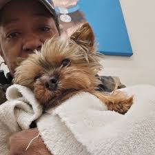 Vicki Kromer's Instagram, Twitter & Facebook