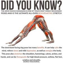 Love Quote Severelyfuturisticharmony Did You Know Online Look For The Quotes Daily Leading Quotes Magazine Da Yoga Benefits Yoga Postures Exercise