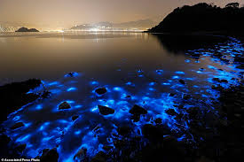 Top 10 Incredible Ocean Phenomena - MaritimeCyprus