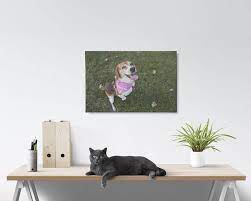 Finished canvas is stretched on wood frame bars, then gallery wrapped and ready to hang. Create Photo Books Custom Photo Canvas Wall Decor Photo Greeting Cards Prestophoto