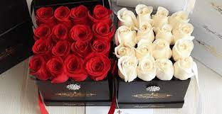 Maybe you would like to learn more about one of these? Forever Roses These Fancy Flowers Stay Fresh For An Entire Year Listed